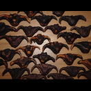 Die seltene Wassernuss, auch Büffel- oder Fledermausnuss genannt; erst die zweite Gegend, in der wir (wenige) Verkaufsstände an der Straße gesehen haben